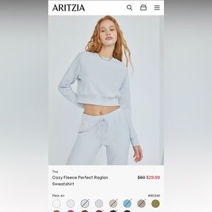 ISO Aritzia Tna Raglan in Plein Air Medium